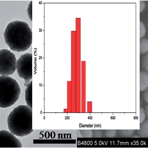 Tem A And Sem B Images Of Iron Oxide Nanoparticle Inset Is The