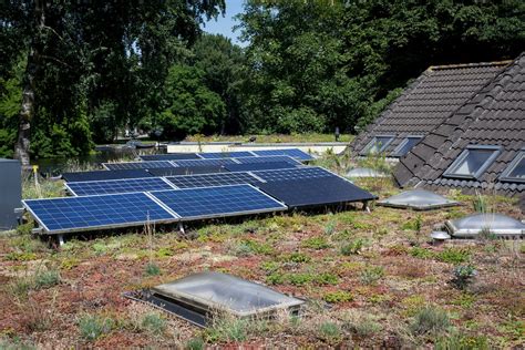 Combineer Groen Dak Met Zonnepanelen Voor Meer Energie