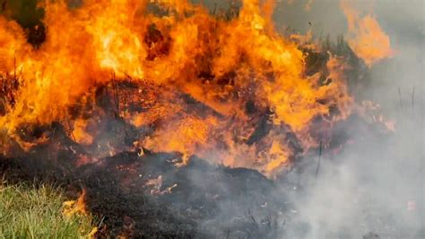 Mire Las Impactantes Imágenes Del Incendio En Corrientes Argentina Cnn Video