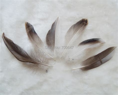 100pcs/Lot 7 10cm Mallard Duck Drake Grey Flank Feathers feather crafts ...