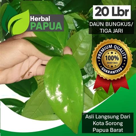 Jual Daun Asli Pembesar Mpp Daun Bungkus Daun Tiga Jari Papua