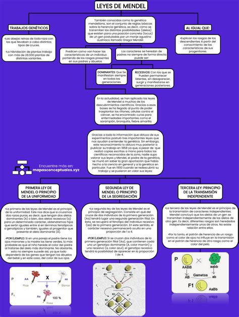 Mapas Conceptuales De Las Leyes De Mendel 【descargar】