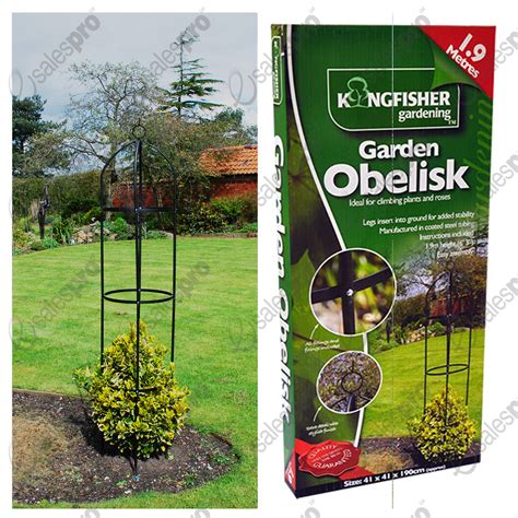Garden arch & obelisk trellis feature climbing plant roses either or ...