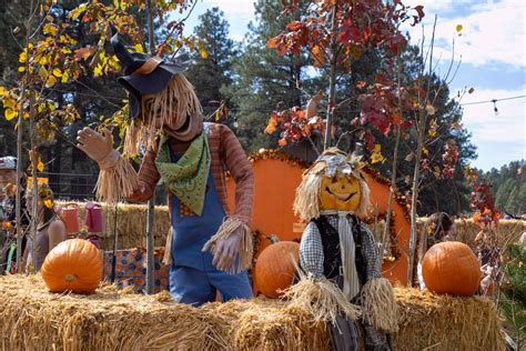 The Hidden Gem of Flagstaff: Viola's Pumpkin Patch - Renaissance Alana