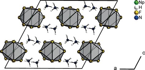 A section of the crystal structure of (NH 4 ) 4 [NpF 8 ]. Symmetry ...