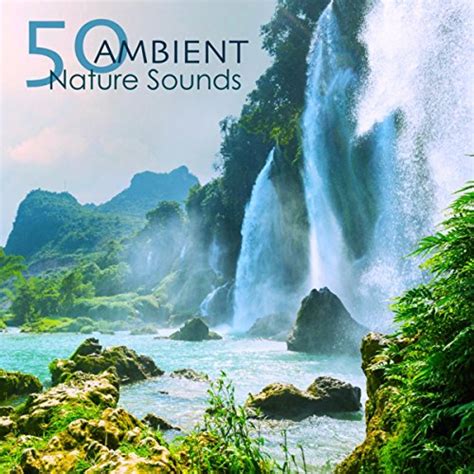 Play 50 Ambient Nature Sounds Relaxing Natural Music With Sounds Of