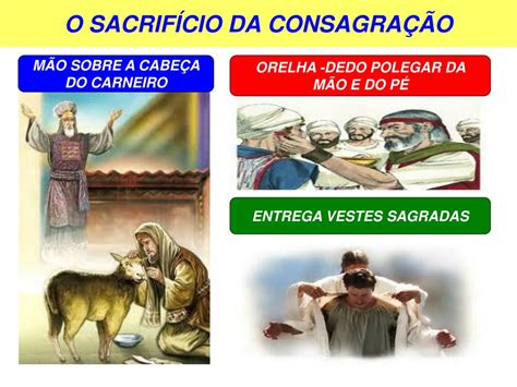 Ppt Li O A Consagra O Dos Sacerdotes Powerpoint Presentation