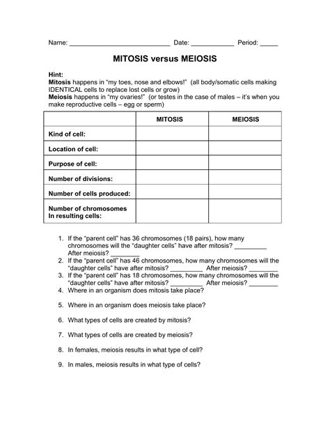 Worksheet 17 Mitosis Versus Meiosis