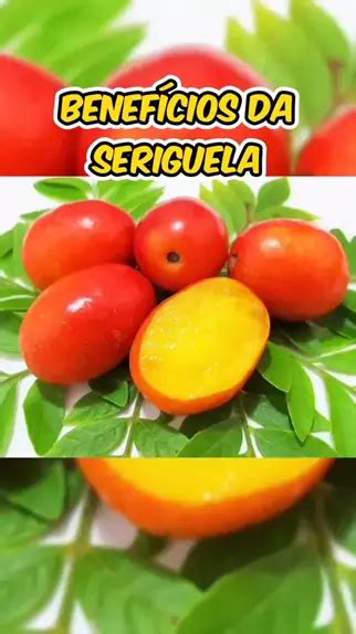 Benefícios Da Seriguela Uma Fruta Poderosa Para A Saúde