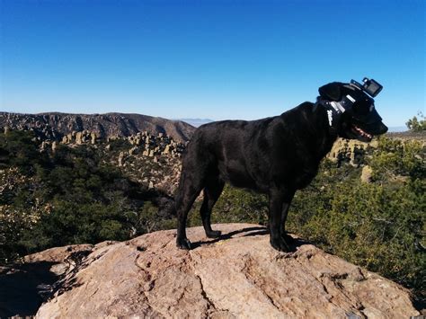 Chiricahua NM 03 – Adventures With Dog