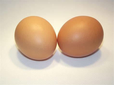 2 Eggs In Shell Free Stock Photo Public Domain Pictures