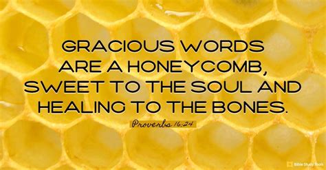 Cultivating A Honeycomb Of Gracious Words Proverbs Your Daily