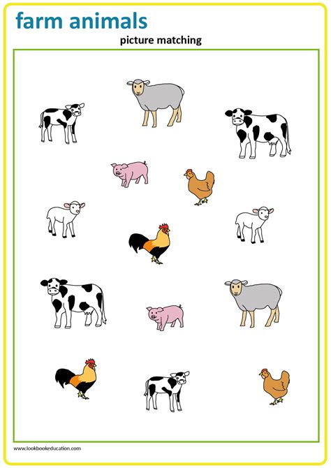 Farm Animals Matching Worksheet