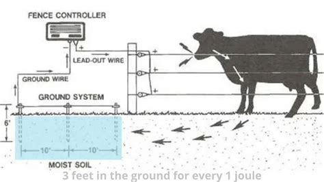 How To Build Electric Fence For Goats Meat Goats