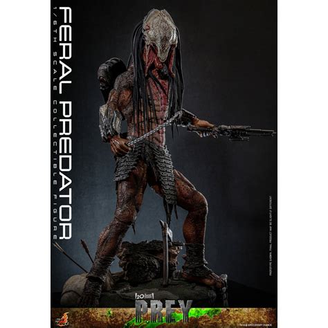 Hot Toys Star Wars Feral Predator 1 6 Prey Figurine