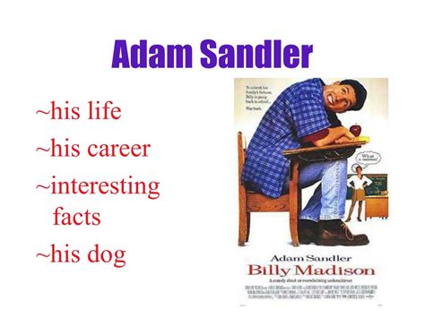 PPT - Adam Sandler PowerPoint Presentation, free download - ID:3047990