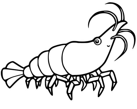 Shrimp Coloring Pages Printable Coloring Pages