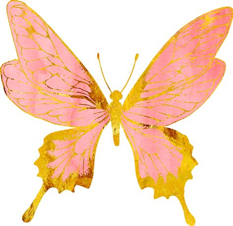 Butterflies Butterfly Pastel Pink Rosegold Gold Pink And Gold