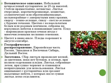 Диуретики растительного происхождения - презентация онлайн