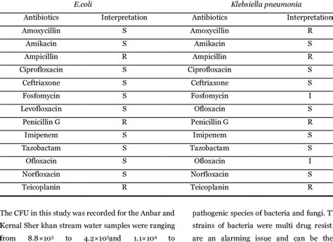 Antibiotics Susceptibility Pattern Of E Coli And Klebsiella Pneumonia