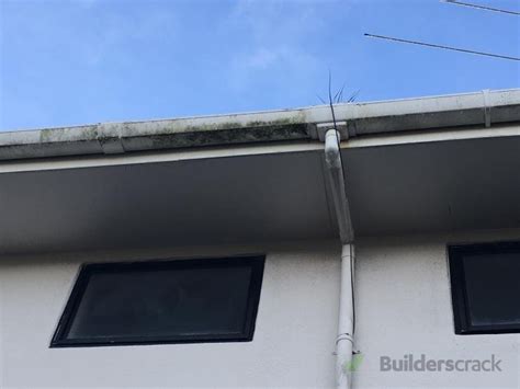 New Guttering and installation of downpipes (# 220794) | Builderscrack