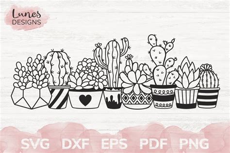 Cactus And Succulent Svg Potted Plant Svg