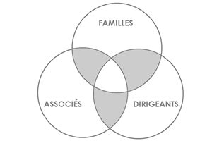 Conseil En Gouvernance D Entreprise Familiale Par Royal Formation