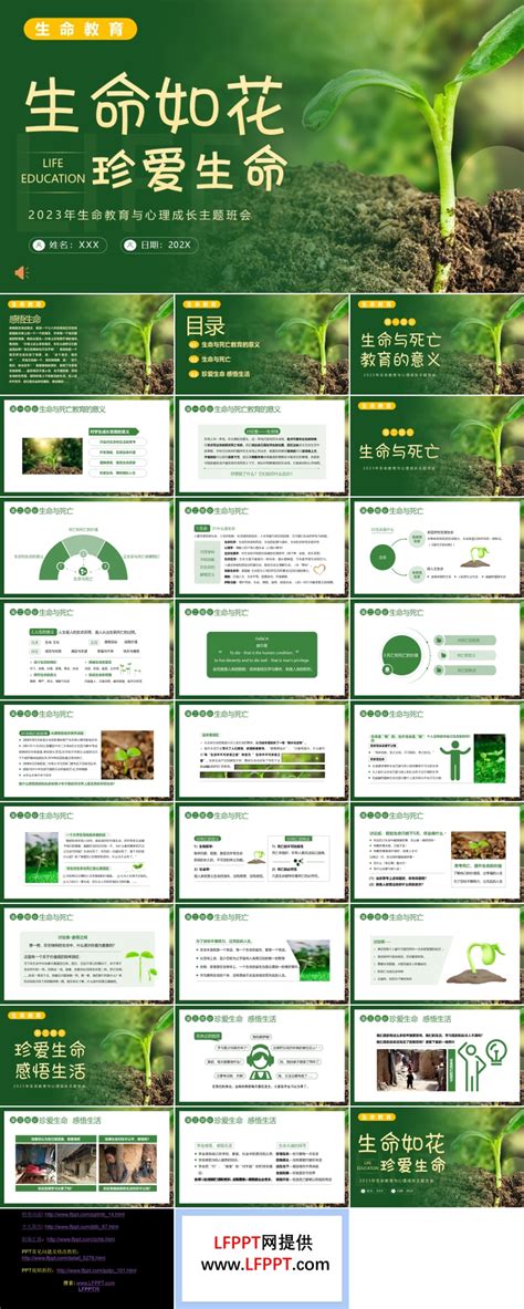 生命教育认识生命珍爱生命安全教育主题班会ppt模板下载 Lfppt