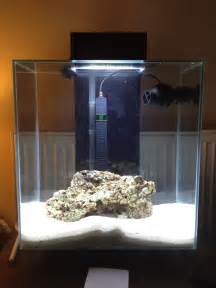 New L Fluval Edge Beginners Discussion Nano Reef Community