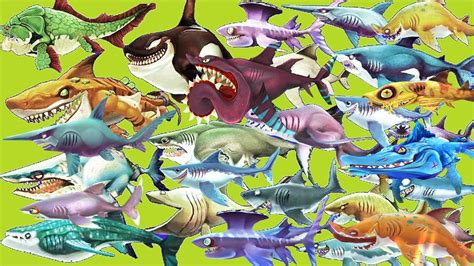 Hungry Shark World All Sharks Unlocked New Update Coming Soon