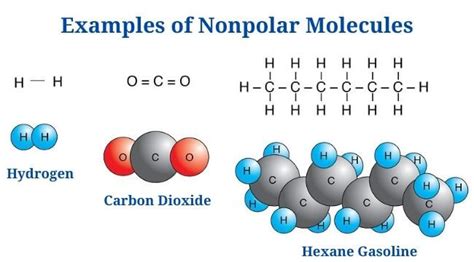 Polar Vs Nonpolar Molecules: Definition, Differences, Examples - PhD Nest