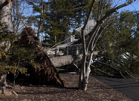 Fierce Winds Knock Down Trees And Power Lines Across Connecticut As