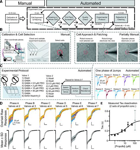 Automated Intracellular Pharmacological Electrophysiology For Ligand