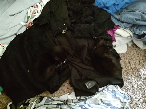 18 Perfectly Camouflaged Things That Will Take A While To Find