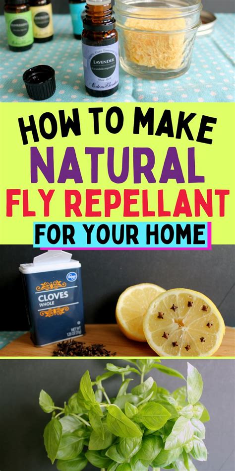 How To Make Natural Fly Repellent For Your Home Fly Repellant