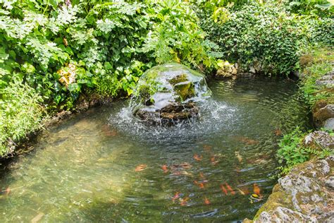 Orvieto Fish Pond Fountain On Piazza Cahen Le Monde1 Flickr