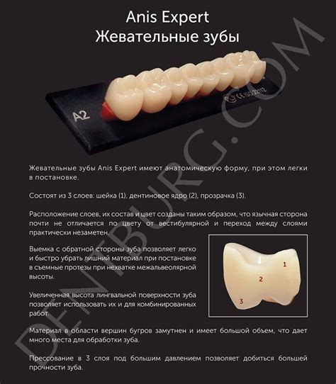 Anis EXPERT Жевательные нижние Акриловые зубы (размер 85 цвет A3,5 ...