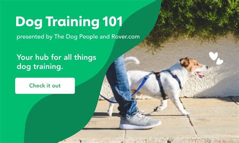 The 19 Best Dog Training Books for Every Kind of Dog | The Dog People ...