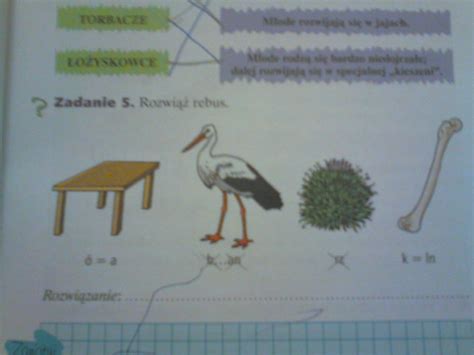Zadanie Widoczne Na Zdj Ciu Jak Nie To Zad Str Rozwi Rebus