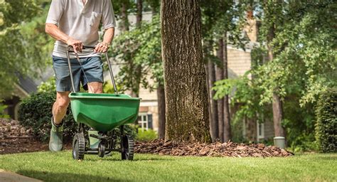 How To Spread Grass Seed Osjl Inspires