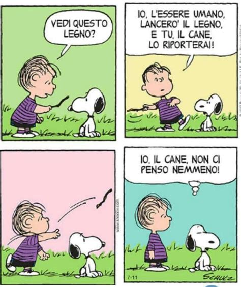 Pin Di Rodovar Su Peanuts Immagini Citazioni Divertenti Citazioni