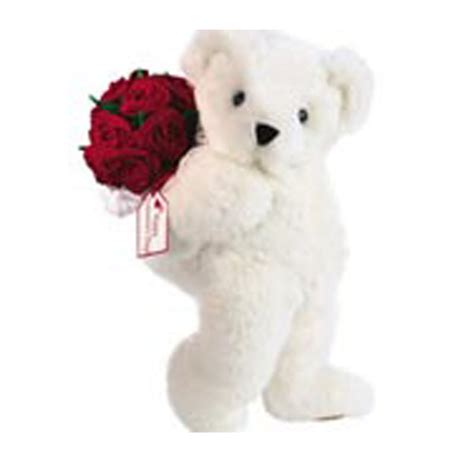 Roses With Teddy Bear | Send Gifts To Pakistan | Same Day Delivery In ...