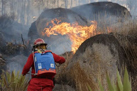 Incendios Forestales Arrasaron M S De Hect Reas En Hu Nuco