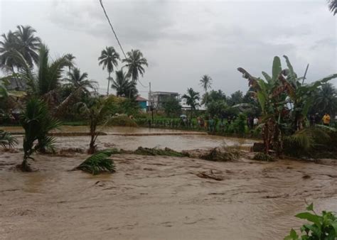 Banjir Bandang Terjang Tanah Datar Ratusan Hektar Lahan Pertanian