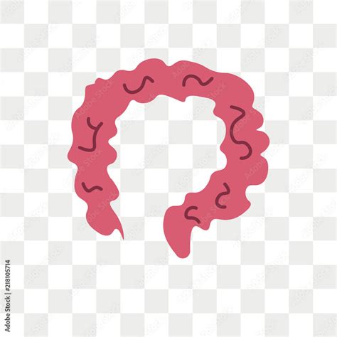 Colon Vector Icon Isolated On Transparent Background Colon Logo Design