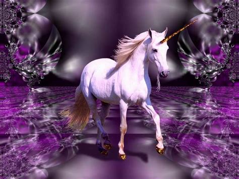 Real Unicorn Wallpapers Top Free Real Unicorn Backgrounds