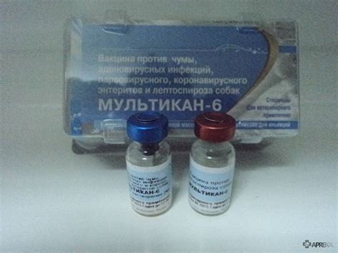 Мультикан 8 для собак: инструкция и показания к применению, отзывы, цена