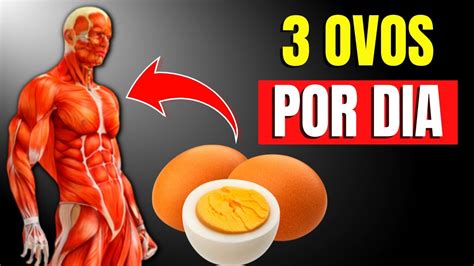 O Que Acontece Seu Corpo Se Comer 3 Ovos Todos Os Dias CORPO