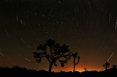 Joshua Tree Star Trails | Shutterbug