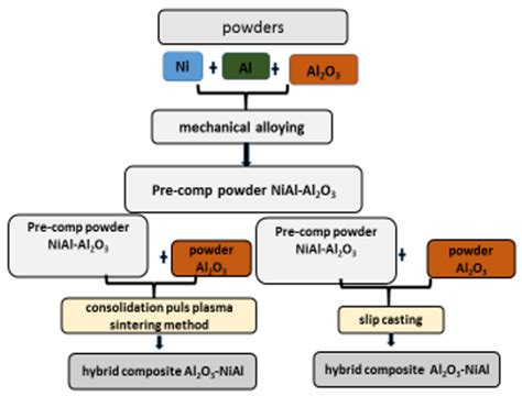 Particle Reinforced Ceramic Matrix Composites—selected Examples